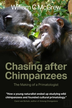 Bertrand.pt - Chasing After Chimpanzees