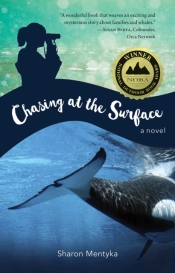 Chasing At The Surface