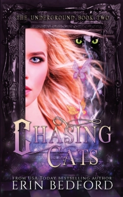 Bertrand.pt - Chasing Cats