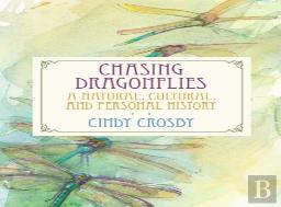 Chasing Dragonflies