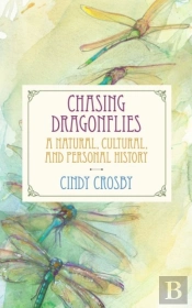 Chasing Dragonflies