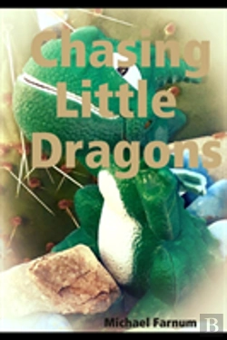 Bertrand.pt - Chasing Little Dragons