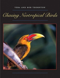 Bertrand.pt - Chasing Neotropical Birds