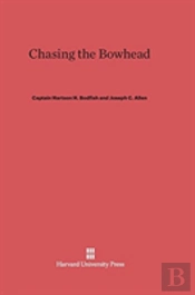 Chasing The Bowhead