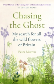 Chasing The Ghost