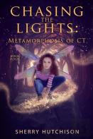 Chasing The Lights