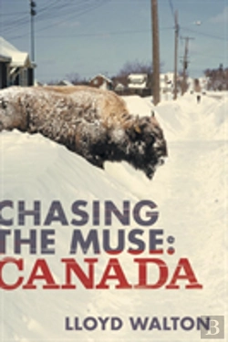 Bertrand.pt - Chasing The Muse