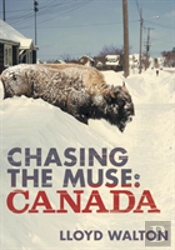 Chasing The Muse