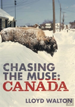 Bertrand.pt - Chasing The Muse