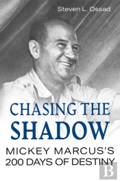 Chasing The Shadow