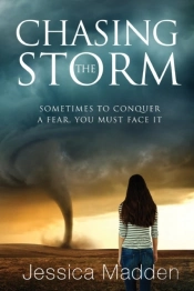 Chasing The Storm