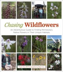 Bertrand.pt - Chasing Wildflowers