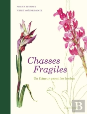 Chasses Fragiles