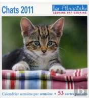 Chat 2011