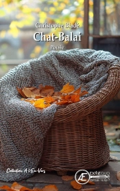Chat-Balai