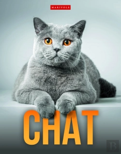 Bertrand.pt - Chat