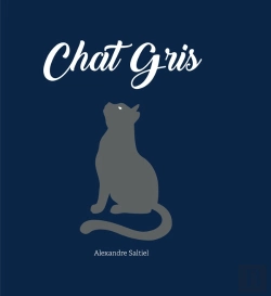 Bertrand.pt - Chat Gris