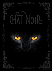 Chat Noir