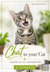 Chat To Your Cat