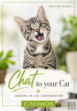 Bertrand.pt - Chat To Your Cat