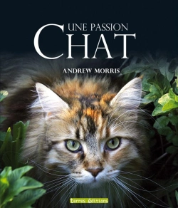Bertrand.pt - Chat ; Une Passion