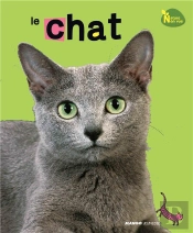Chat