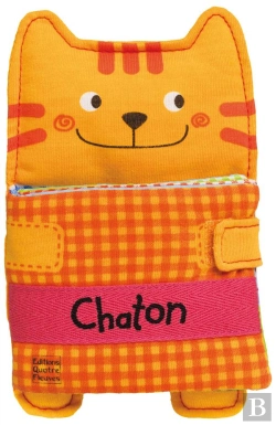 Bertrand.pt - Chaton