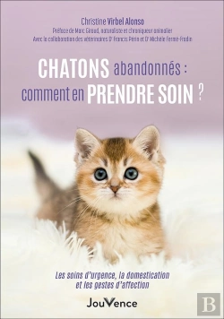 Bertrand.pt - Chatons Abandonnés : Comment Les Sauver ? Les Soins D'Urgence, La Domestication Et Les Gestes D'Affection