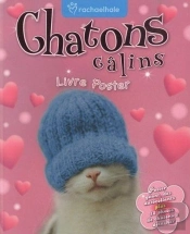 Chatons Calin
