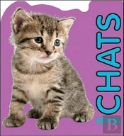 Chatons