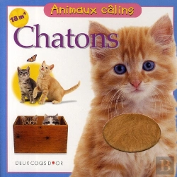 Bertrand.pt - Chatons