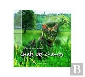 Chats Des Champs Chats Des Villes
