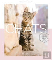 Chats Du Monde