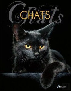 Bertrand.pt - Chats