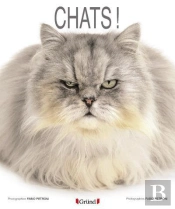 Chats