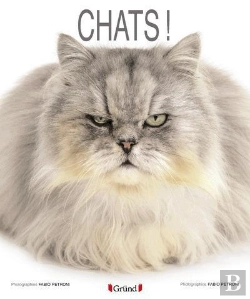 Bertrand.pt - Chats