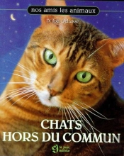Chats Hors Du Commun