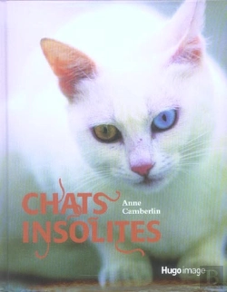 Bertrand.pt - Chats Insolites