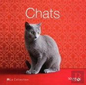 Chats - La Collection