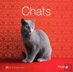 Bertrand.pt - Chats - La Collection
