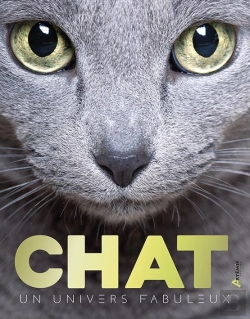 Bertrand.pt - Chats, Un Univers Fabuleux