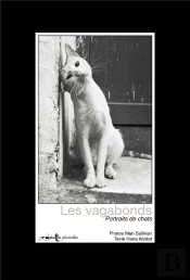 Chats Vagabonds : Portraits De Chats