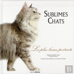 Bertrand.pt - Chats