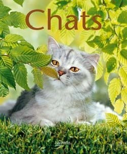 Bertrand.pt - Chats