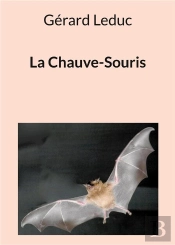 Chauve Souris