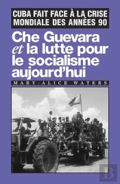 Che Guevara Et La Lutte Pour Le Socialisme Aujourd'Hui