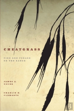 Bertrand.pt - Cheatgrass