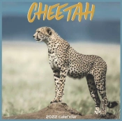 Cheetah 2022 Calendar
