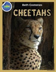 Cheetah Activity Workbook Ages 4-8