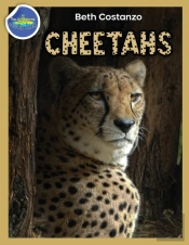 Cheetah Activity Workbook Ages 4-8